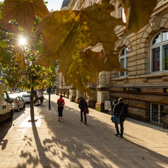 Auch wenn es nun kühler und ungemütlicher draußen wird, durften auch wir in diesem Jahr ein paar goldene, sonnige Herbsttage in unserer City genießen 🍁 So langsam steigt nun die Vorfreude auf die Winterzeit. Wie ist es bei euch? 🤔
_____________________________ 

#dammtorstrasse #dammtorstraße #herbst #goldenerherbst #opernboulevard #hamburg #hamburgcity #hansestadthamburg #igershamburg #explorehamburg #welovehh #hamburgliebe #hamburglove #hamburgahoi #hamburgmeineperle #instahamburg #ig_hamburg #hamburg_de #schönstestadtderwelt